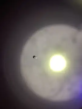 1Zoey101 online show from March 30, 2026, 9:16 pm