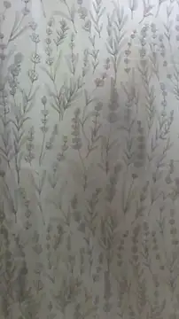 Snapshot of Ariya_Sinz_XoXo chatting on March 13, 2026, 8:47 pm Ariya Sinz XoXo online show from March 13, 2026, 8:47 pm