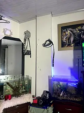 CRAZY-BOY99 online show from January 15, 2026, 8:51 am