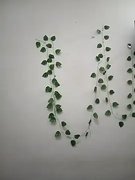 Neha-Bhabhi-Rasily online show from April 7, 2026, 11:34 am