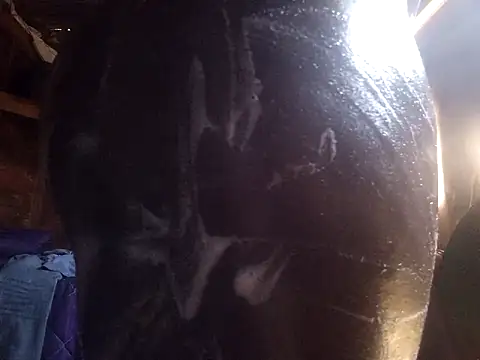 Snapshot of Smart24 chatting on September 15, 2025, 9:43 am Smart24 online show from September 15, 2025, 9:43 am