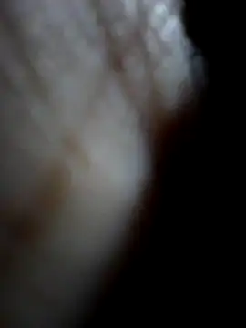 Snapshot of Sandra42 chatting on December 15, 2025, 9:48 am Sandra42 online show from December 15, 2025, 9:48 am