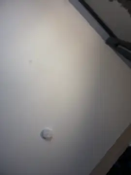 KITTYBOOBOOFUXX online show from April 3, 2026, 6:31 am