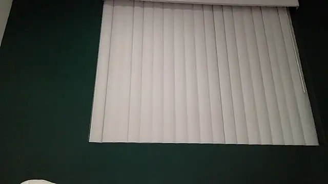 Snapshot of TheDaddy005 chatting on March 7, 2025, 2:36 am TheDaddy005 online show from March 7, 2025, 2:36 am