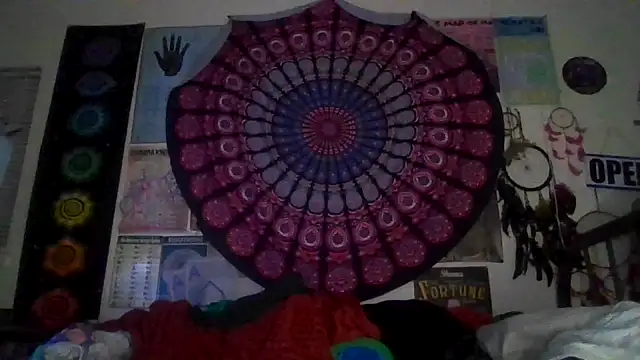 GardeniaFields online show from March 2, 2026, 9:16 am