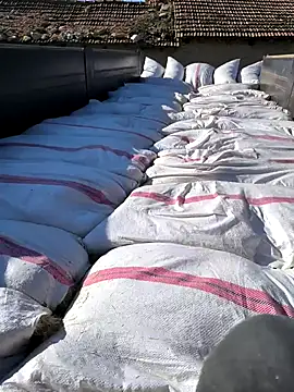 Snapshot of Thunderbolt121 chatting on March 2, 2026, 7:09 am Thunderbolt121 online show from March 2, 2026, 7:09 am