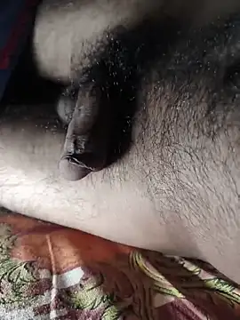 Mr skywalker online show from March 28, 2026, 11:33 am