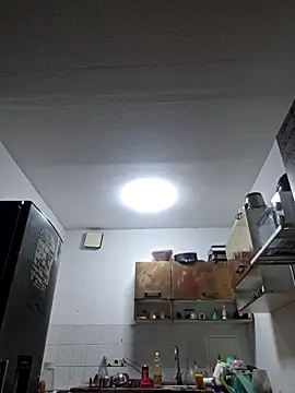 Snapshot of ThePython666 chatting on November 8, 2025, 6:44 pm ThePython666 online show from November 8, 2025, 6:44 pm