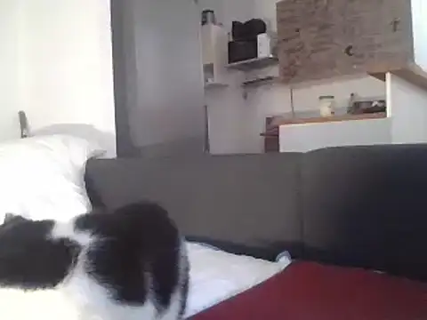 Snapshot of ThePython666 chatting on March 22, 2025, 7:25 am ThePython666 online show from March 22, 2025, 7:25 am