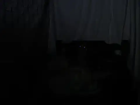 SHARONYJQVI online show from March 22, 2025, 5:39 am