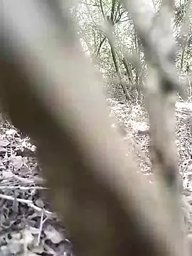 CertifiedSatisfier online show from November 12, 2025, 10:41 am