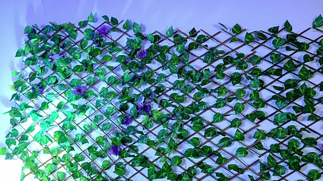 alice rous21 online show from October 7, 2025, 1:34 pm