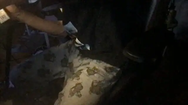 Snapshot of twink69Finger chatting on December 20, 2025, 12:30 pm twink69Finger online show from December 20, 2025, 12:30 pm