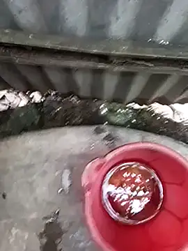 Ayush pussy fucker online show from November 16, 2025, 9:36 am