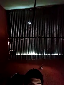 317894 online show from November 12, 2025, 2:10 pm