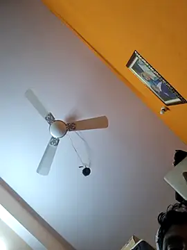 hot integer online show from November 27, 2025, 2:23 am