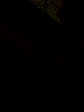 Tomassasdss online show from October 22, 2025, 7:24 pm