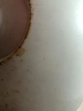 Dabunation online show from October 8, 2025, 6:04 am