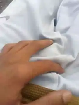 tiibcstuj online show from February 14, 2026, 12:16 pm