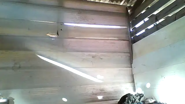 Snapshot of srtsara chatting on April 15, 2026, 10:54 am srtsara online show from April 15, 2026, 10:54 am