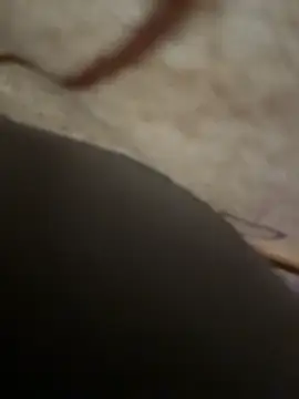 sweetsirenn online show from November 24, 2025, 2:39 pm