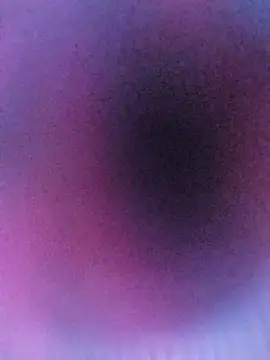 ranisingh1234 online show from September 14, 2025, 4:13 am