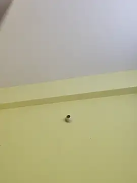 radhika2 online show from November 7, 2025, 9:08 pm