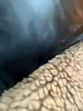 MiraReach online show from November 9, 2025, 2:37 am