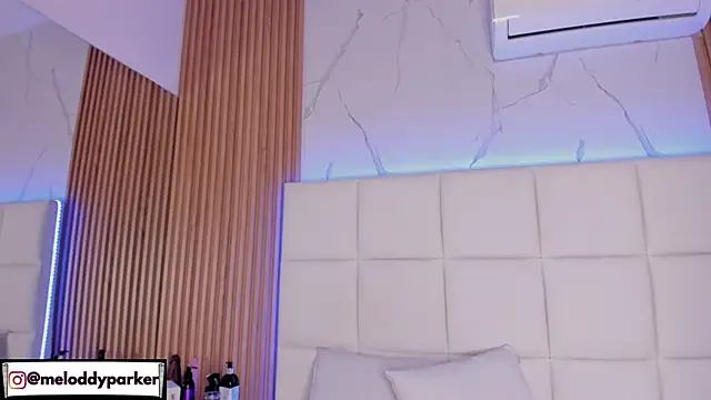 Snapshot of Meloddy_Parkerr_ chatting on February 28, 2026, 1:16 am Meloddy Parkerr online show from February 28, 2026, 1:16 am