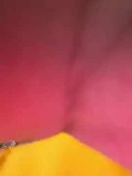 Huitaca  online show from December 18, 2025, 6:18 am