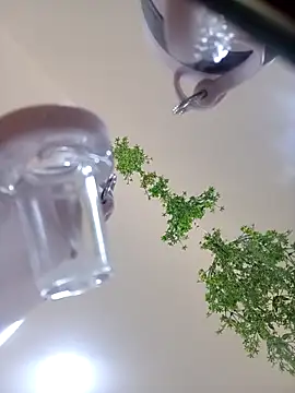 Samantha hotly online show from October 31, 2025, 2:02 pm