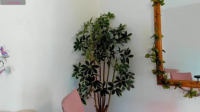 valerieMattson online show from October 15, 2025, 4:15 pm