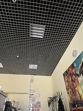 Liza Will online show from November 14, 2025, 6:17 am