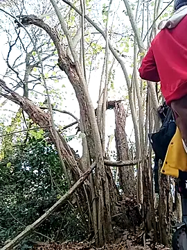 Wilsonn86 online show from November 12, 2025, 9:13 am