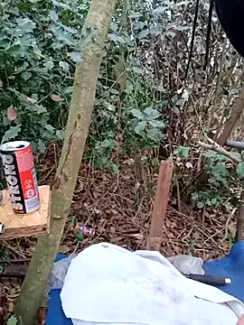 Wilsonn86 online show from December 2, 2025, 9:22 am