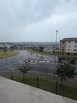 mojaymort online show from April 17, 2026, 10:51 am