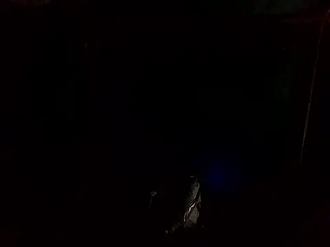 ParousFlow online show from April 20, 2026, 1:19 am