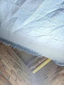 GaaraDiaz online show from December 20, 2025, 8:01 pm