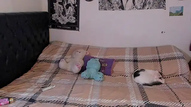 Snapshot of chloe_kisses chatting on September 25, 2025, 11:49 am chloe kisses online show from September 25, 2025, 11:49 am