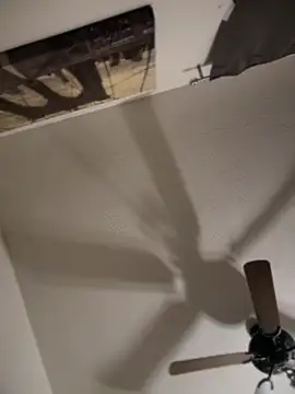 Snapshot of himNIGuys chatting on November 24, 2025, 10:15 am himNIGuys online show from November 24, 2025, 10:15 am