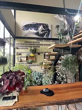 Snapshot of Rose-andres chatting on November 29, 2025, 8:42 pm Rose-andres online show from November 29, 2025, 8:42 pm