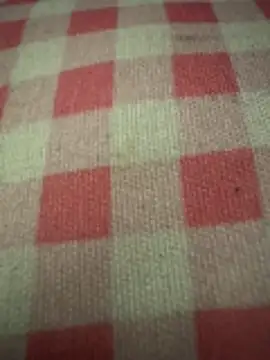 anonimgirl18old online show from October 29, 2025, 5:01 pm