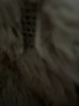 anonimgirl18old online show from February 25, 2026, 8:36 am