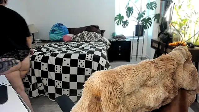 Alix Valentine online show from November 7, 2025, 6:01 pm