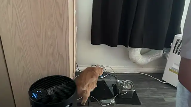 Snapshot of kSwisssxxx chatting on November 6, 2025, 10:47 pm kSwisssxxx online show from November 6, 2025, 10:47 pm