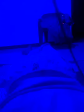 keten3824A online show from April 28, 2026, 8:24 pm