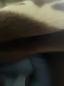 Telugu person12 online show from December 15, 2025, 12:00 pm