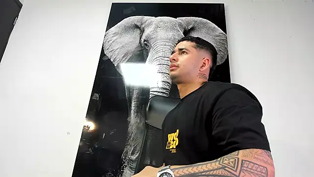 king falconer online show from October 26, 2025, 1:39 am