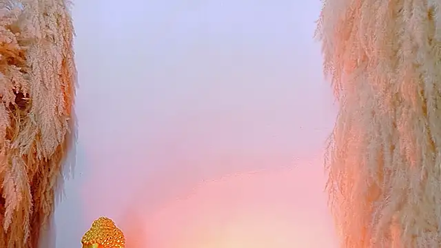 JulietaDavis online show from April 8, 2026, 2:02 am