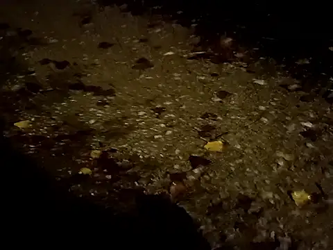 Snapshot of jvdzj-0_ chatting on October 29, 2025, 10:42 pm jvdzj-0  online show from October 29, 2025, 10:42 pm